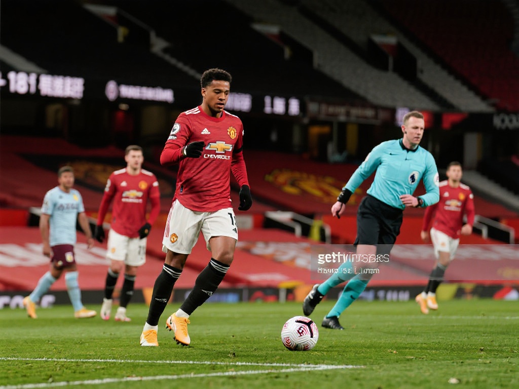 伍德的定价 伍德的定价